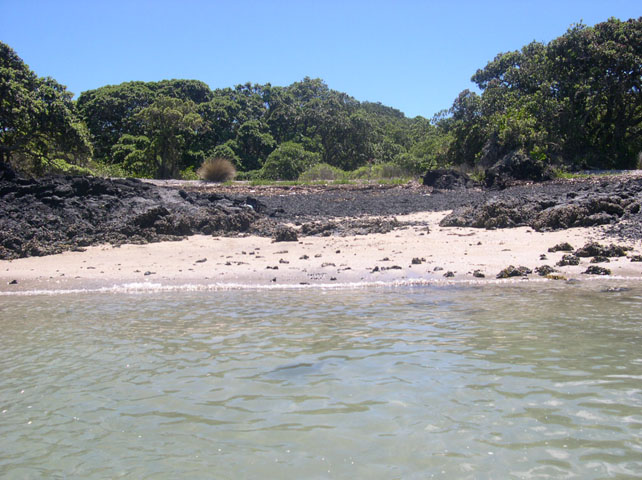 Strand auf Rangitoto Island