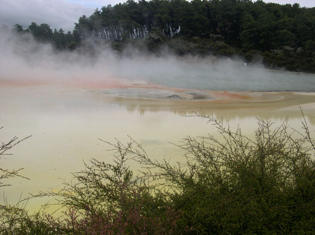 Champagne Pool