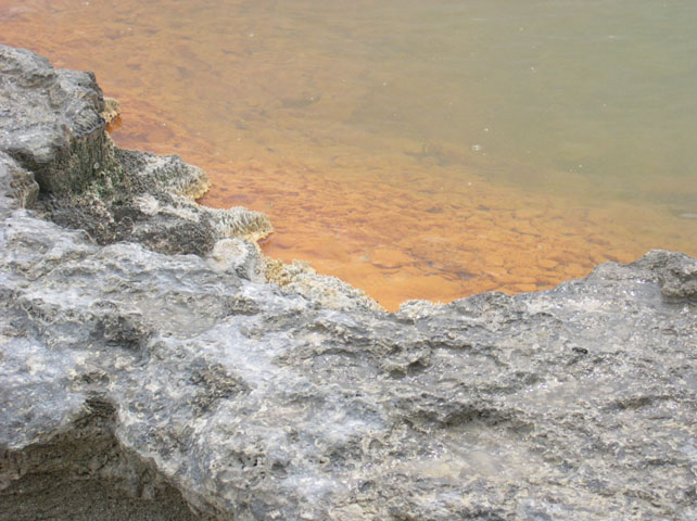 Champagne Pool