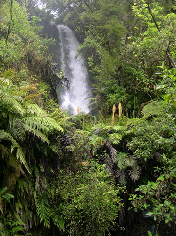 Te Wairoa Falls