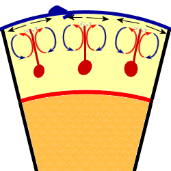 convection cells